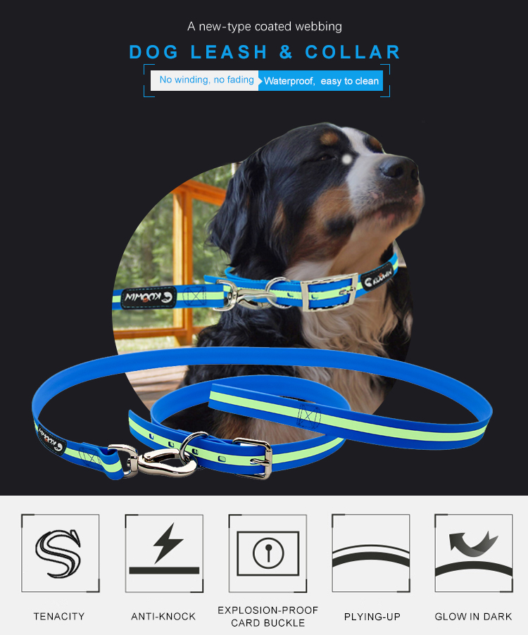 Ljuslys Natt Säkerhet Hundkrage