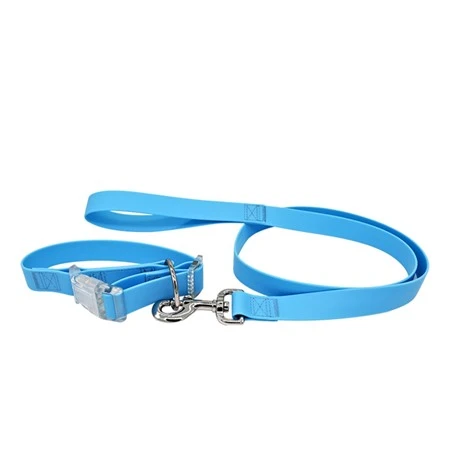 Anpassade djurhalsband och koppel