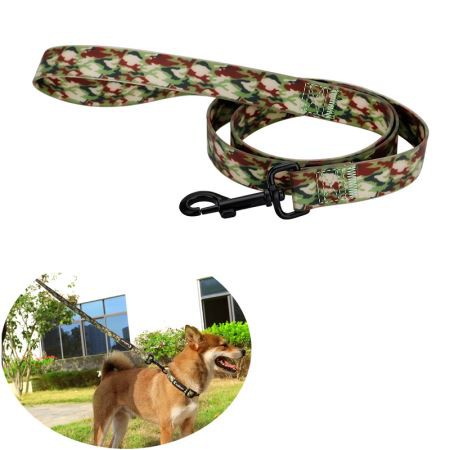 High End infällbar fin tryckt hund krage och koppel set